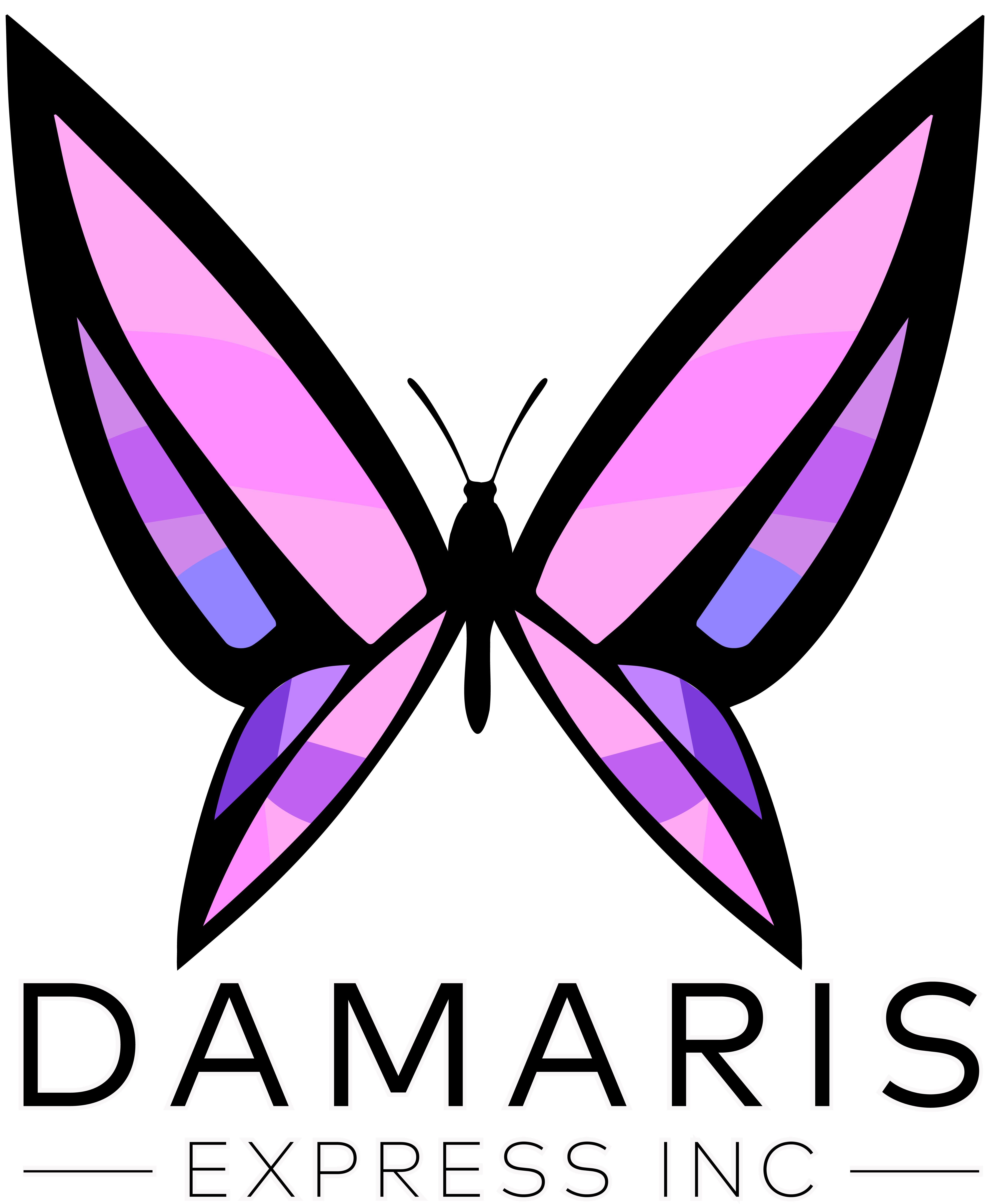 Damaris Express Inc. Logo