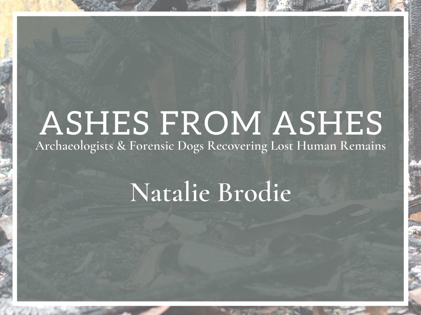 Archaeologists Forensic Dogs The Official Travel Resource for