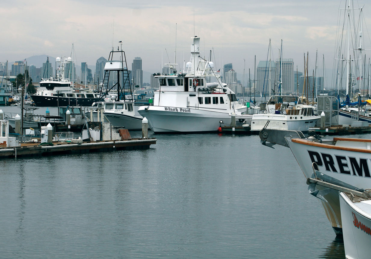San Diego's Sport Fishing Landings - The Official Travel Resource for the San  Diego Region