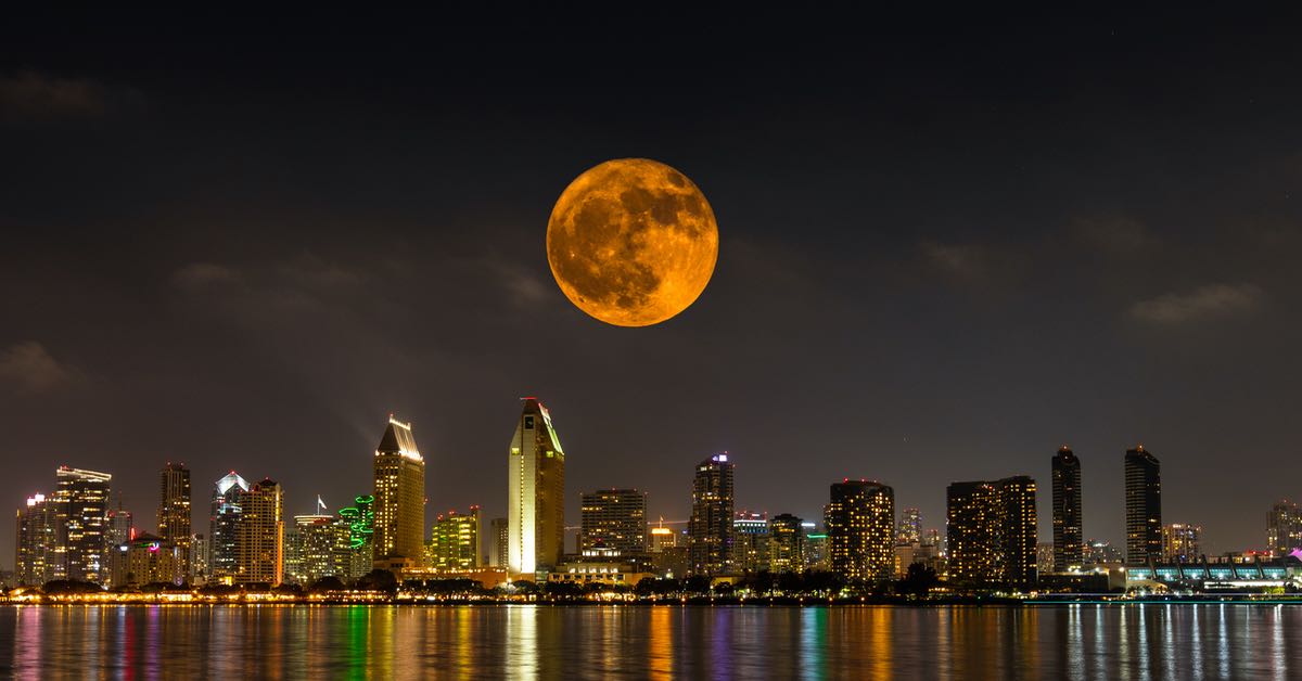 Halloween Happenings And Things To Do In San Diego