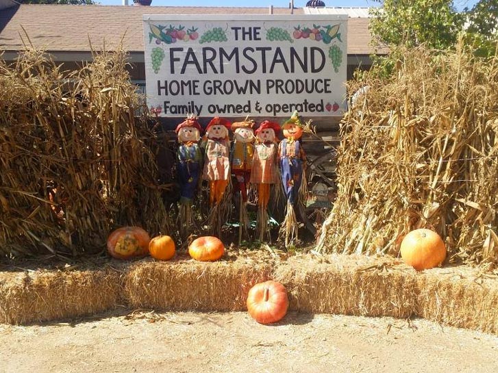 Pumpkin Patches Throughout San Diego County