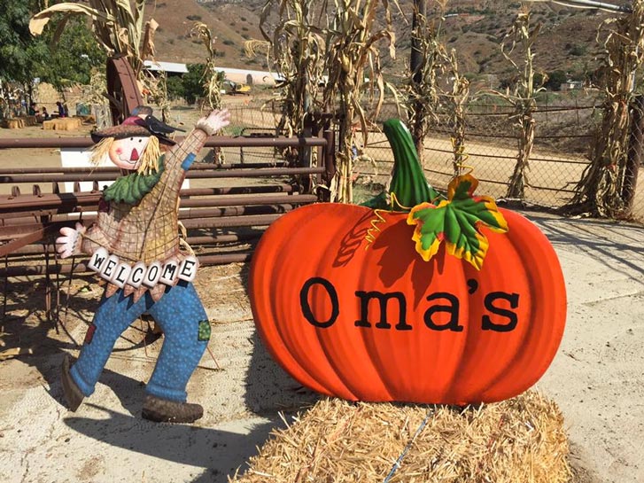 pumpkin patch in del mar