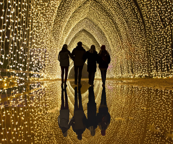 Lightscape at San Diego Botanic Garden