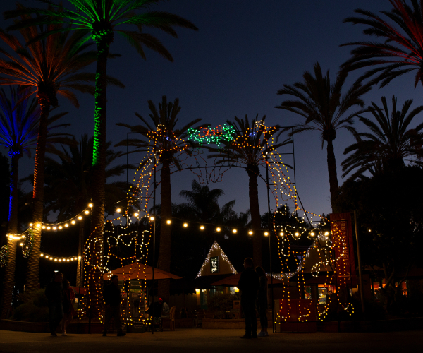 Jungle Bells at San Diego Zoo