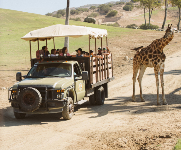 a group of people on the safari tour at the san diego safari park