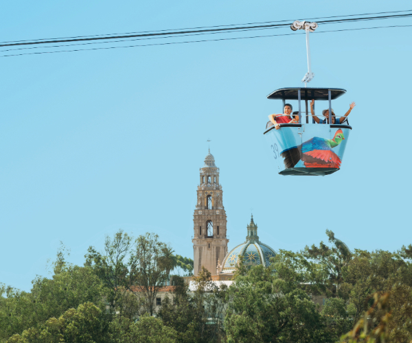 a family on the skyfari aerial tram at the san diego zoo