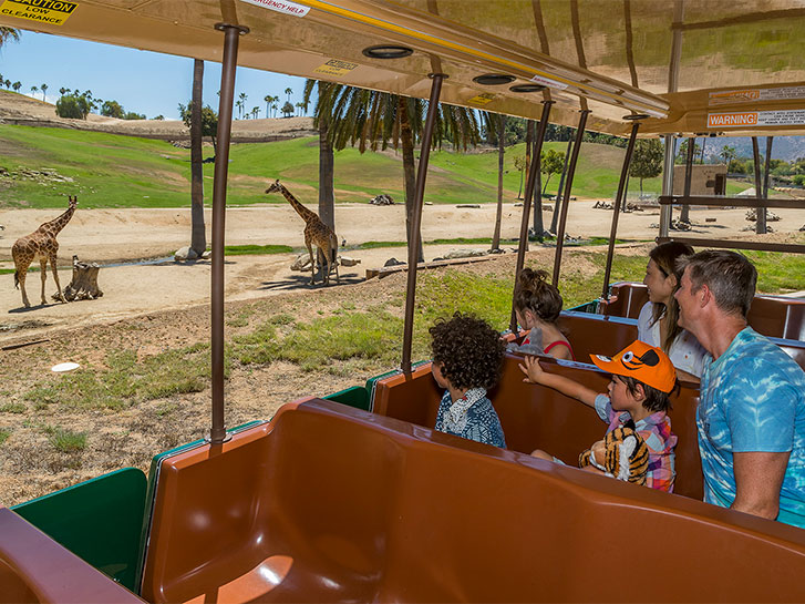 10 Wild Adventures at the San Diego Zoo Safari Park