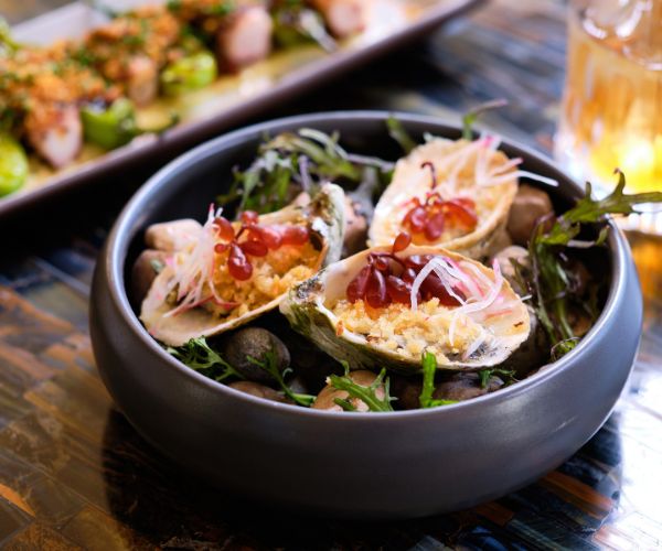 a plate of oysters