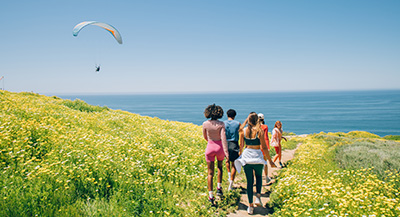 Torrey Pines Wildflowers Hikers and Paragliders